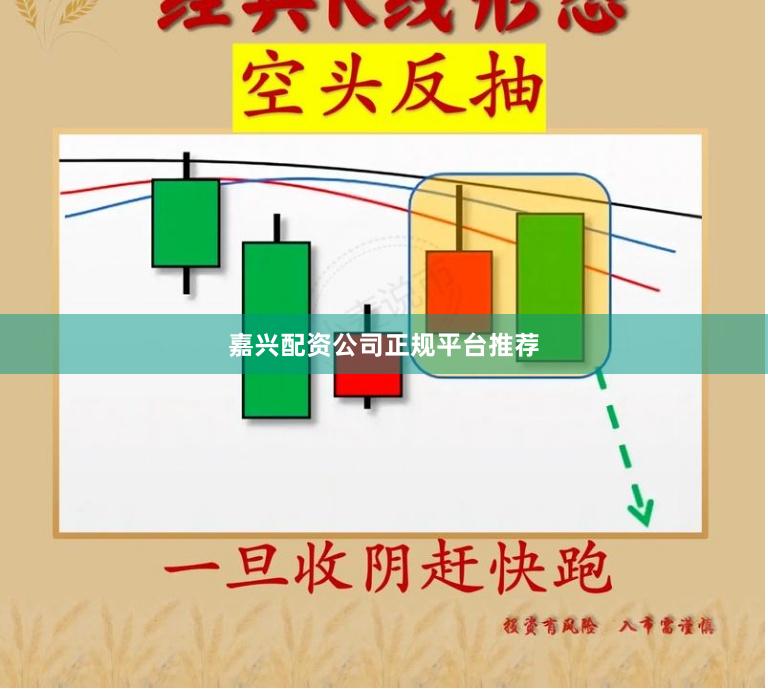 嘉兴配资公司正规平台推荐